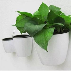 Wholesale white flowers for pots resale online - Wall Hanging Flower Pot Round Hydroponics Chlorophytum Potted Flower Pots Planters Pots
