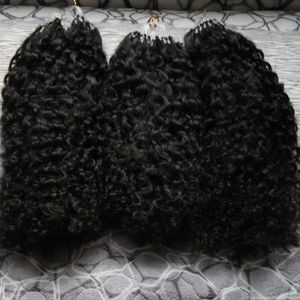 All'ingrosso vergini mongoli afro crespi ricci 300 applicare estensioni dei capelli micro link capelli naturali estensioni dei capelli umani micro loop 300g