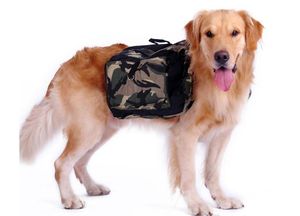 Hundpaket Hound Travel Camping Vandring ryggsäck Sadelväska ryggsäck för medelstora stora hundar