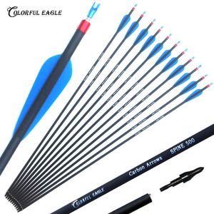 Archery 28" 30" 31" Spine 500 Carbon Arrow with Screw-in Arrowheads for Compound Bows Recurve Bow Longbow Hunting