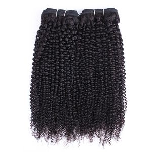 Naturalny kolor Afro Kinky Curly Human Hair Bundles Double Weft 2/3pc Remy Indian Human Hair Weaving 10-26 cala Bez zrzucania 90-95G/PC
