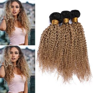 Brazilian Human Hair Ombre Honey Blonde Kinky Curly Weaves Double Wefted 3Pcs #1B/27 Honey Blonde Ombre Curly Human Hair Bundles 10-30"