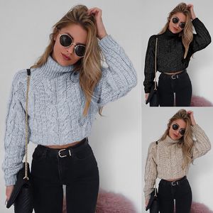 Crop Tops Sweaters Women 2018 Autumn Winter Female Turtleneck Casual Loose Ladies Knitted Jumpers Pullovers Women's Clothing