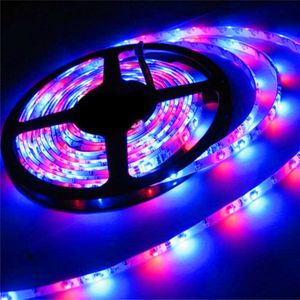 5M 300Leds Non-waterproof RGB Led Strip Light 3528 DC12V 60Leds/M Flexible Lighting String Ribbon Tape Lamp Home Decoration Lamps