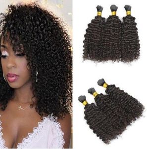 Mongolian Afro Kinky Curly Human Hair Braiding Hair Bulk sem acessório Black natural não processado