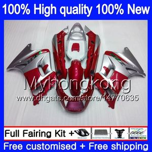 Kawasaki ZZR-250 1990 1991 1991 1993 1999 1999 Red Silvery 251My.2 ZZR 250 90-99 ZZR250 90 91 92 93 99