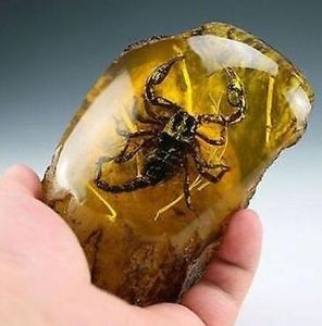 Oriental Vintage Handwork Natural Amber Scorpion Staty