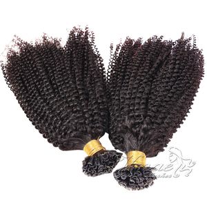 VMAE Malaysian 1g Strand 100g Natural Keratin Fusion Single Double Drawn Pre Bonded Kinky Curly U Tip Virgin Remy Human Hair Extension