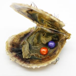 Cuori Perle Ostriche Perle rotonde da 6-7 mm Vari gemelli colorati mettono perle sulle ostriche con regali per feste sottovuoto