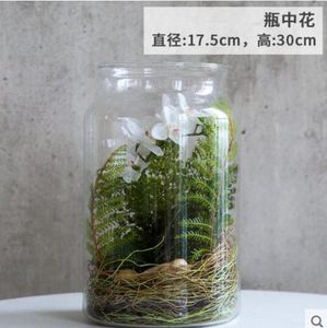 Creative Moss Micro Landscape Eco Bottle Simulation Desktop in vaso Mini Bonsai Ufficio Pianta verde Piccola pianta da interno