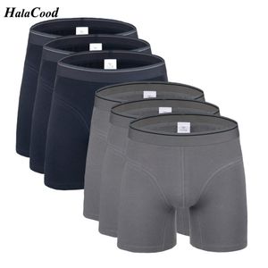 6 pçs / lote novo masculino plus size longos boxers moda sexy macho calcinha suor absorvente algodão boxer shorts respirável homens underwears
