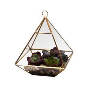 Fat Pyramid Hanging Terrarium Geometric Succulent Planter Micro Landscape Greenhouse For Fern Moss Glass Display Vase Black Gold