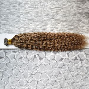 Afro Kinky Curly Curly Pré Pré-ligado Fusion Hair I Dica Stick Ceratina 100G 100 Pc Brasileiro Virgem Cabelo Cabelo De Ceratina Dica Cabelo Extensões