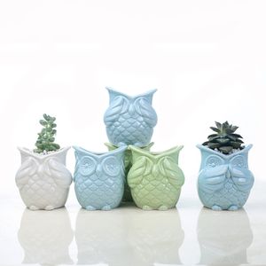 Succulent pot owl ceramic flower pot bonsai planter small animal shape Christmas holiday gift kids home decor