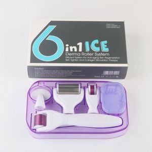 6 in 1 Ice Derma Roller Micro Needle Cura della pelle Cura della pelle del viso Massaggio del viso Custodia da viaggio Anti acne
