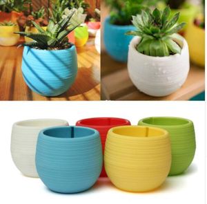 5 Färgglada Mini Plastblomma Pott 7 * 7cm Suckulent Växtblomma Hem Garden Office Decor Succulent Plant