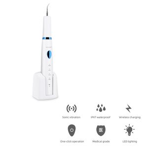 Ricarica wireless Sbiancamento domestico Pulitore per denti elettrico ad ultrasuoni Macchie di calcolo Rimozione tartaro 3 modalità di lavoro con testa di illuminazione