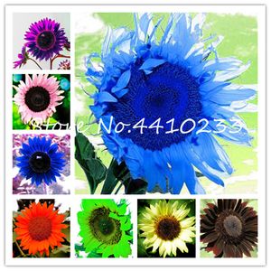 40 Pcs Dwarf Sunflower Bonsai ,Mixed Sunflower Rare Color Indoor Or Outdoor Flower Potted Plant Home Garden For Planting flower seeds