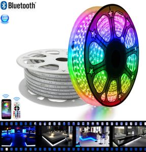 LED Strips, Flexible Bluetooth APP RGB Rope Light 110V Color Changing Waterproof Dimmable Strip Lights with Remote 60led m for Building Outdoor Home