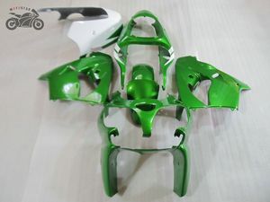 Passen Sie Moto-Verkleidungssätze für Kawasaki Ninja 2000 2001 ZX9R grün-weiße Straßensport-Aftermarket-Verkleidungsteile ZX-9R 00 01 ZX 9R an