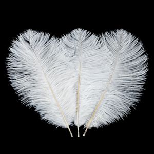 Venta al por mayor de 10 piezas de rendimiento plumas blancas de avestruz decoración de la boda de flores mesa de plomo carretera boda de la pluma etapa de los apoyos de joyería de bricolaje