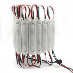 Edison2011 3 lysdioder Dream Color Injection LED-modul Vattentät IP67 DC12V 5050 LED Pixel Module WS2811 Full Färg