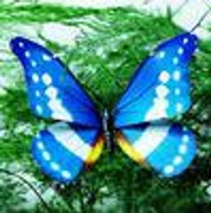 New Fridge stickers Home Decoration Colorful Three-dimensional small size Simulation Butterfly with Magnet free shipping 420pcs