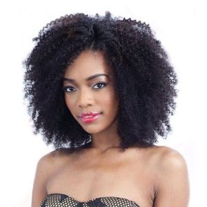 toppkvalitet kvinnor afro kinky lockig wig afrikansk amerikan frisyr brasiliansk hår simulering mänskligt hår kinky lockig peruk för dam