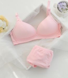 atacado baixo preço alta qualidade 3 set / lots nylon respirável. conjunto de sutiã para senhora (16 bcv) fjgj