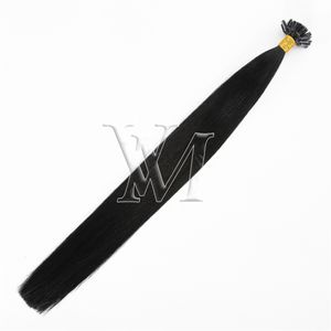 VMAE Indian Virgin U Tip Human Hair Extensions 1g/stand Pre Bonded Natural Black Afro Curly Straight Wave 4A 4B 4C