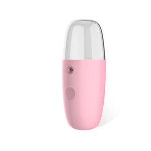 USB Nano Face Steamer Spruzzatore facciale Nebulizzatore Umidificatore a vapore per il viso Idratante Strumenti per la cura della pelle di bellezza delle donne