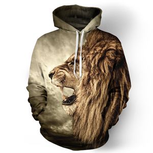 2020 Yeni 3D Baskı Hoodies Kazak Casual Kazak Unisex Artı boyutu Sonbahar Kış Streetwear Kadınlar Erkekler