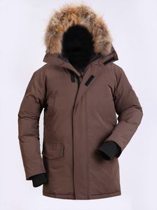 Vintermän ner på jackor Borden-Bomber Parka Real Raccoon Hooded Päls Collar Coat Downs Thick Warm Parkas Black Outlet Outdoor Sport 1 JSBU 2 CT43