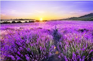 Custom Photo Wallpaper 3D Stereo Beautiful romantic purple lavender field golden sun background wall Living Room Wallpaper 3D Painting