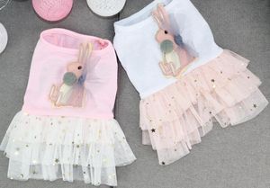 Factory direct sales 2020 spring and summer pet skirt dress cotton cute dog clothes Teddy small dog hard yarn skirt pet dress on sale spot i