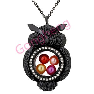 h1520 lovely Black owl Magnetic Glass Floating Locket Pearl Rhinestone pendant Women Charms Necklace