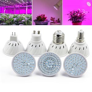 Omto Led Plant Growth Bulb 220V för saftig grön blad krukväxter