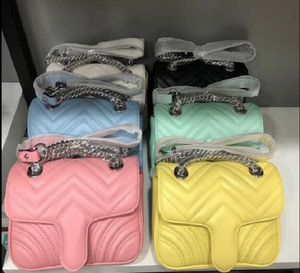 2023 Ho Vendita nuova borsa a tracolla a catena singola in argento pleuche 22x14x7cm borsa da donna di alta qualità borsa a tracolla best-seller 24x8x15cm