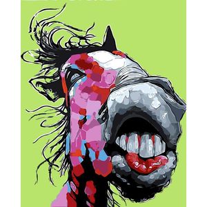 top popular DIY Oil Painting By Numbers Big mouth Horse 50*40CM 20*16 Inch On Canvas For Home Decoration Kits for Adults [Unframed] 2022