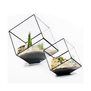 Cube incliné moderne succulent terrarium géométrique en verre de verre pour fouetter