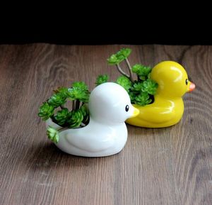 Succulent pot ceramic little duck ceramic flower pot decoration creative cute potted desktop green plant holder garden decor ornaments