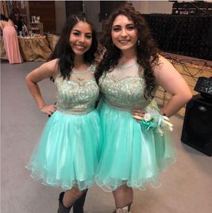 Short Prom Dresses 2020 Mini Homecoming Dress Party Cocktail Gowns Special Occasion Dress Dubai Sheer Neck Lace Tulle