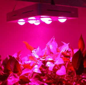 Chegada Nova 900W Full Spectrum COB LED planta crescer luz hidropônico de Efeito Estufa de Plantas de interior Semeando Grow Lâmpada da flor
