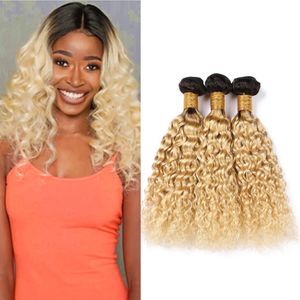 #1B 613 Ombre Brazilian Wet and Wavy Human Hair Bundles 300Gram Black Roots and Blonde Ombre Virgin Hair Extensions Water Wave Weave Hair