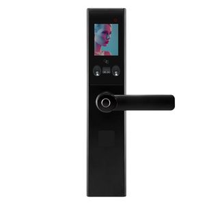 FX22 Household Lock antifurto riconoscimento facciale elettronico porta intelligente impronta digitale password automatica nera