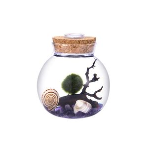 Bocal en verre rond de 4,3 po pour aquarium à DEL avec liège, graviers, boules de mousse vivantes et coquillages en Solde