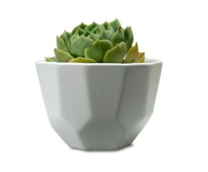 100 pcs simples branco carnuda pequeno poligonal de cerâmica costura boca larga matte vaso de flores