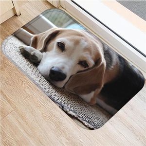 Flannel Cute Pet Dog Entrance Doormat Non-Slip Living Room Bathroom Kitchen Carpet 40*60cm Rugs For Kids Bedroom Carpets Mat
