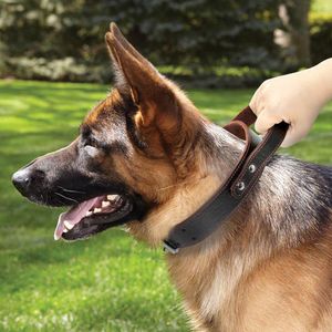 TPFOCUS Stretchable Leather Pet Dog Collar Adjustable Neck Collar Supplies Pet Accessory