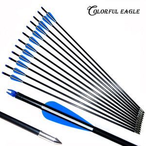 12PCS Fiberglass Arrow Archery 31.5 / 30/29 / 28Inches Glasfiberaxel För sammansatt båge Recurve Bow Targeting Practice